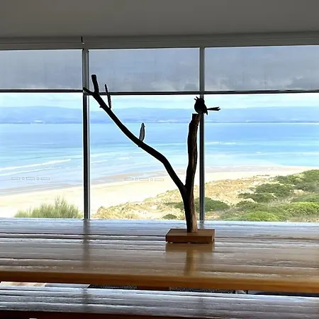 Three Little Birds At Freycinet Villa Coles Bay Exterior photo