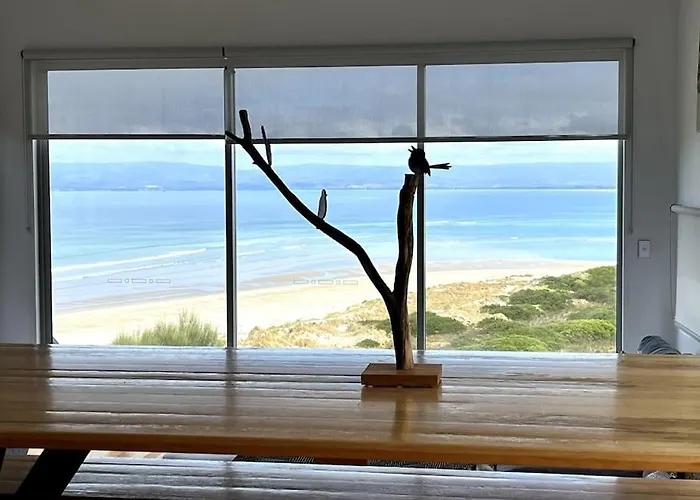 Three Little Birds At Freycinet