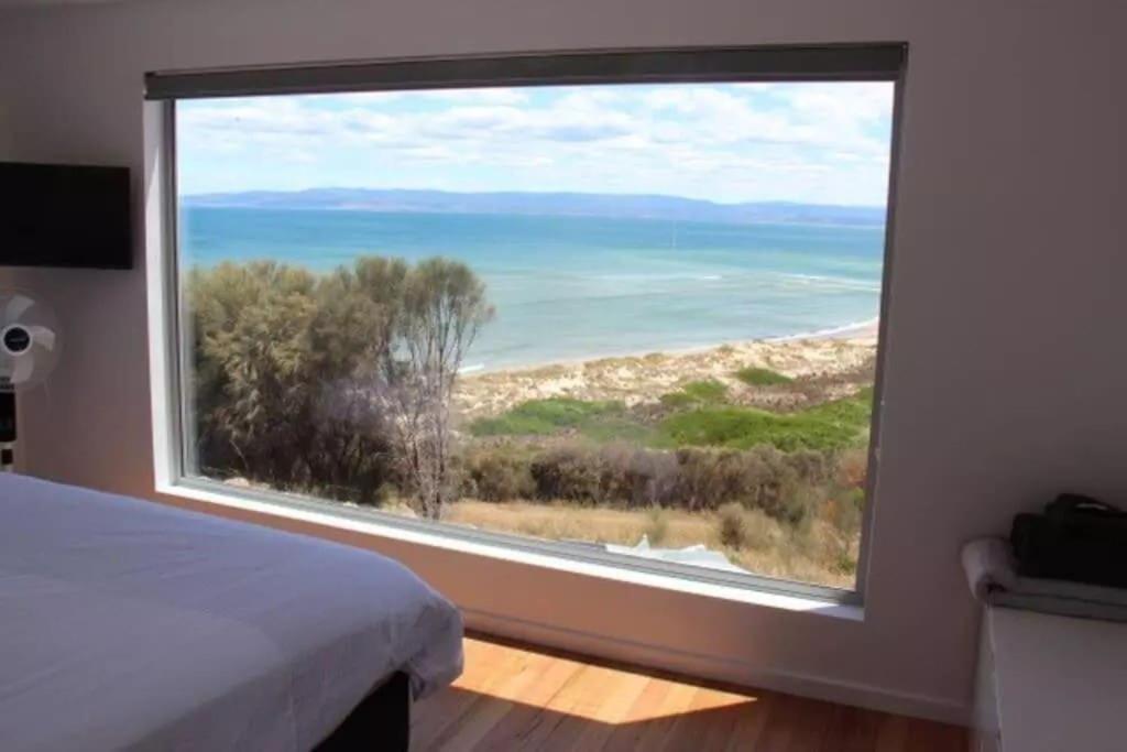 Three Little Birds At Freycinet *