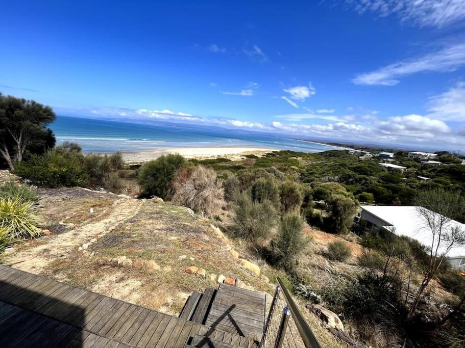 Three Little Birds At Freycinet * Coles Bay